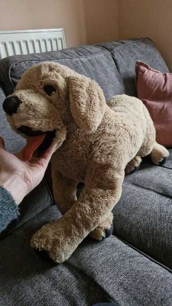 Thumbnail for IKEA dog toy
