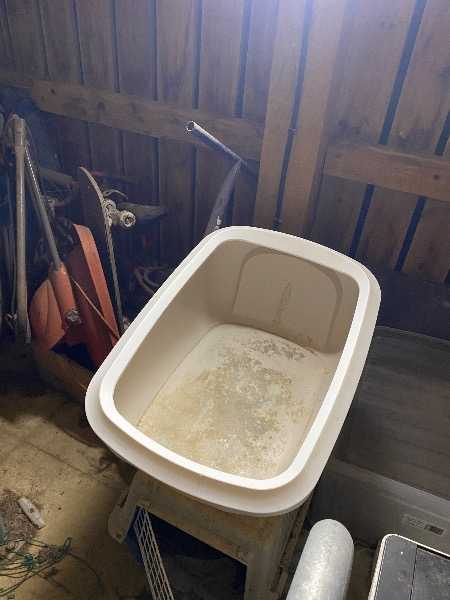 Thumbnail for Xl cat litter box