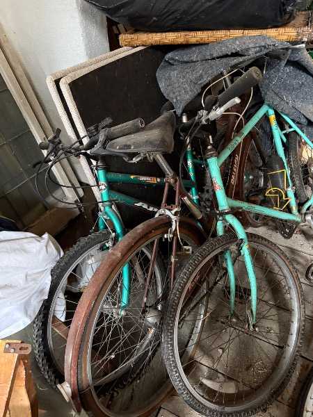 Thumbnail for 3 Bicycles