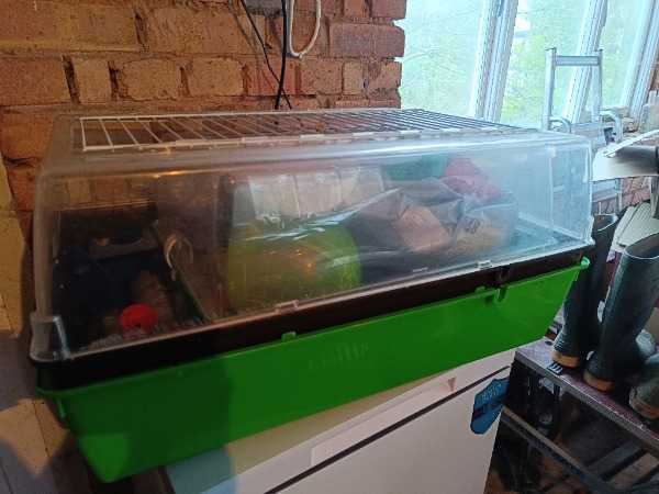 Thumbnail for Guinea pig cage and possibly hamster cage