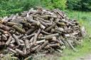 Thumbnail for Wanted: Fresh Hardwood Logs (Oak, Beech or Similar) – Not for Firewood