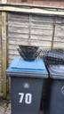 Thumbnail for Hanging baskets