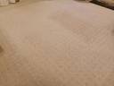 Thumbnail for Cream Beige Carpet