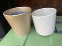 Thumbnail for Indoor ceramic plant pots