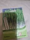 Thumbnail for Rosemary Seeds