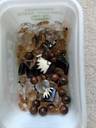 Thumbnail for assorted beads