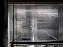 Thumbnail for Pending collection - Window adjustable blinds x 2