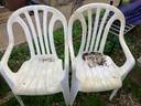 Thumbnail for 2 plastic garden chairs