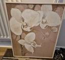 Thumbnail for Framed canvas