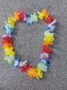 Thumbnail for Fancy dress hula hula garland