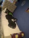 Thumbnail for SILVER SINGLE BED -  HIGH QUILTED HEADBOARD