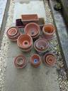 Thumbnail for 40+ terracotta plant pots
