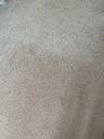 Thumbnail for Carpet 80/20 hard wearing