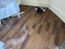 Thumbnail for Laminate flooring