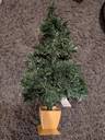 Thumbnail for Mini fibre optic Xmas tree