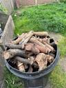 Thumbnail for Wood and kindling