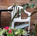 Thumbnail for Stacking garden chairs