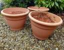 Thumbnail for 3 Plastic planters
