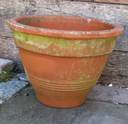 Thumbnail for Terracotta planter