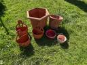 Thumbnail for Garden or allotment stuff