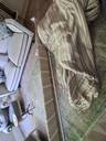 Thumbnail for Pair of curtains and pelmet for french windows