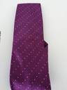 Thumbnail for Thomas Nash Tie