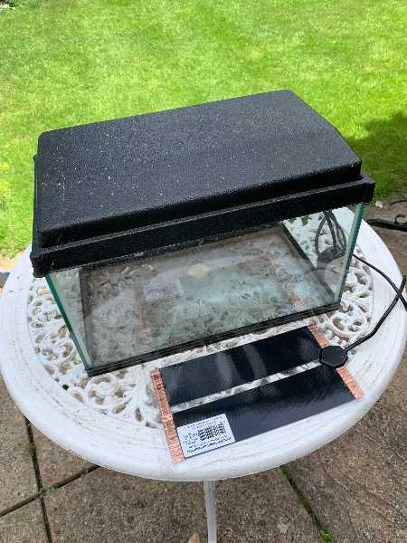 Thumbnail for Small glass tank for tropical insects