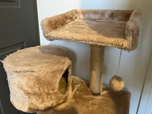 Thumbnail for Cat scratch tree tower. Beige