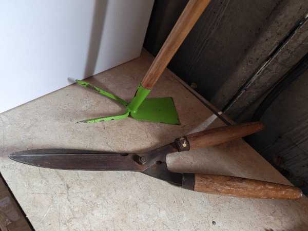 Thumbnail for Vintage garden shears, tool
