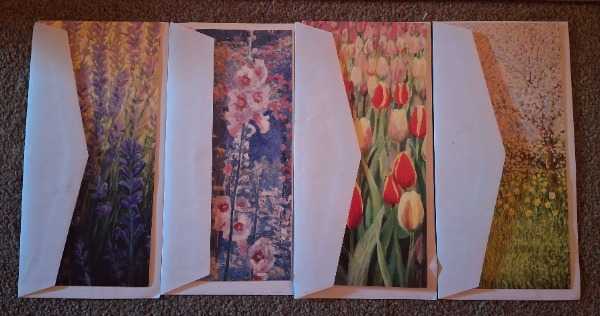 Thumbnail for Cards with envelopes