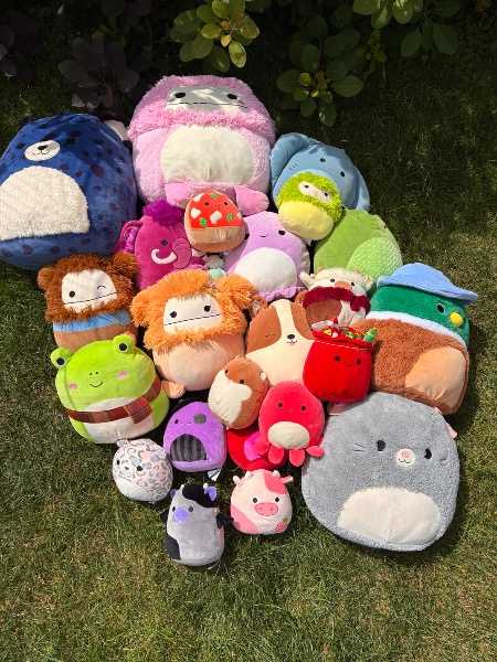 Thumbnail for Squishmallows