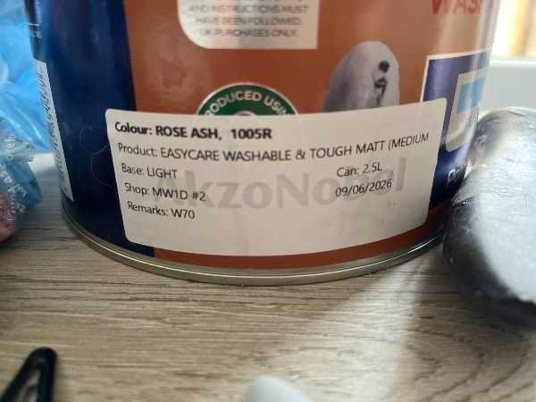 Thumbnail for Dulux Rose Ash paint