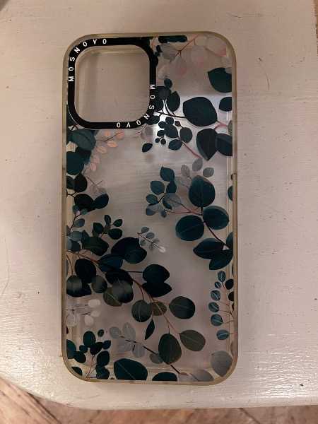 iPhone 13 Pro Max cover
