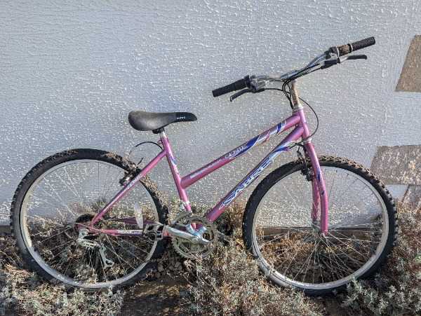 Adult mountain bike