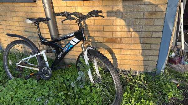 Bike, needs TLC