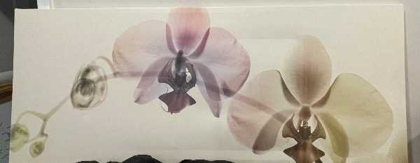 Artwork on Canvas