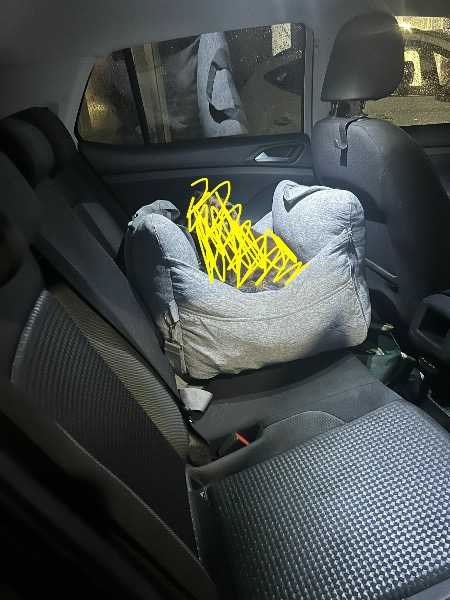 Dog car bed / seat