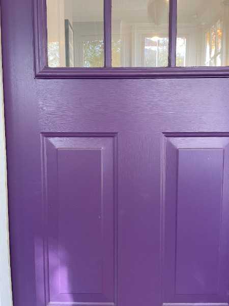 Freecycle: Exterior Latex Paint - Purple Lotus