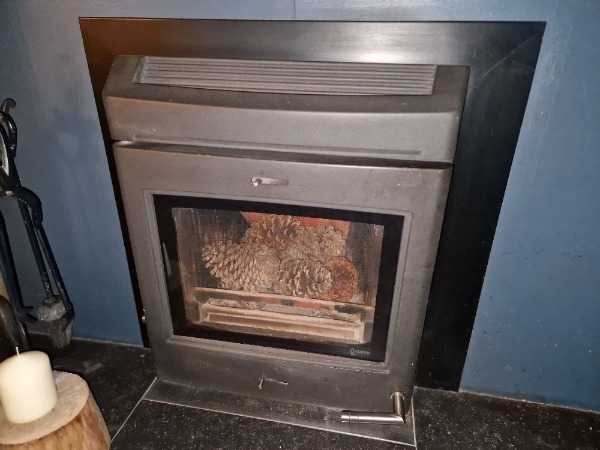 Multi fuel stove