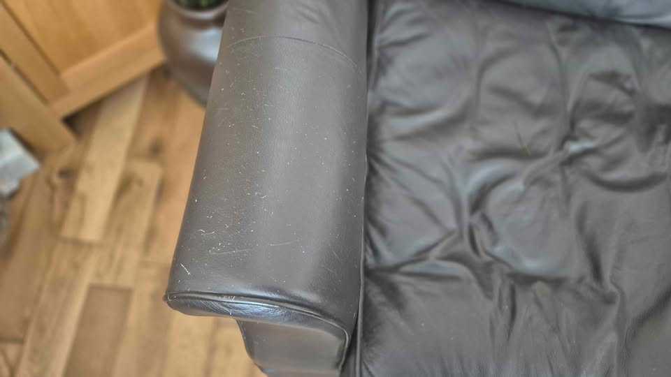 Free Leather Sofa bed