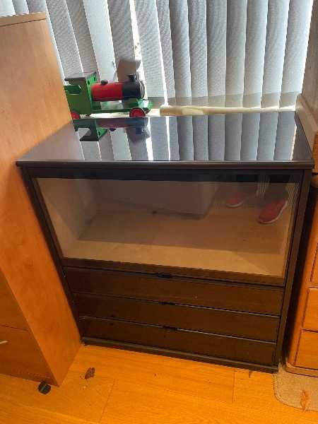 Black and clear glass display cabinet