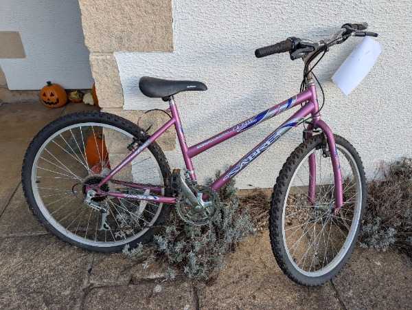 Adult mountain bike