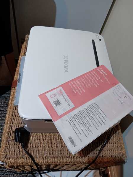 Canon PIXA TS55300 printer