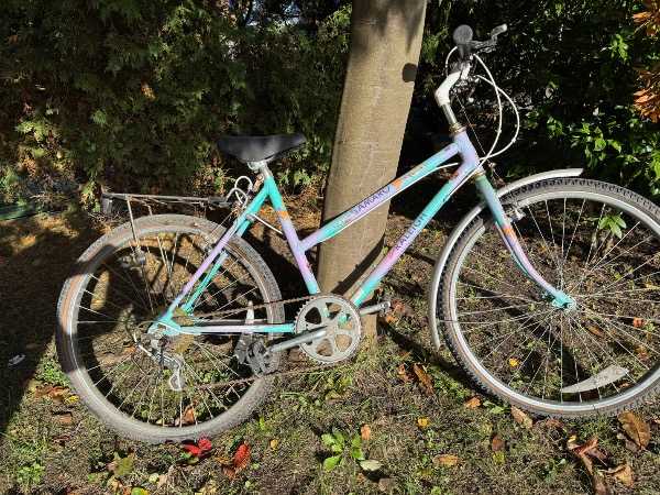 26” bike vintage 90’s Raleigh