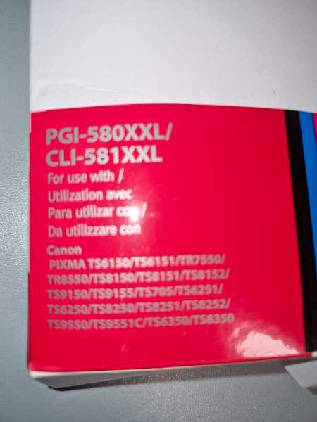 Compatible ink cartridges for a canon printer
