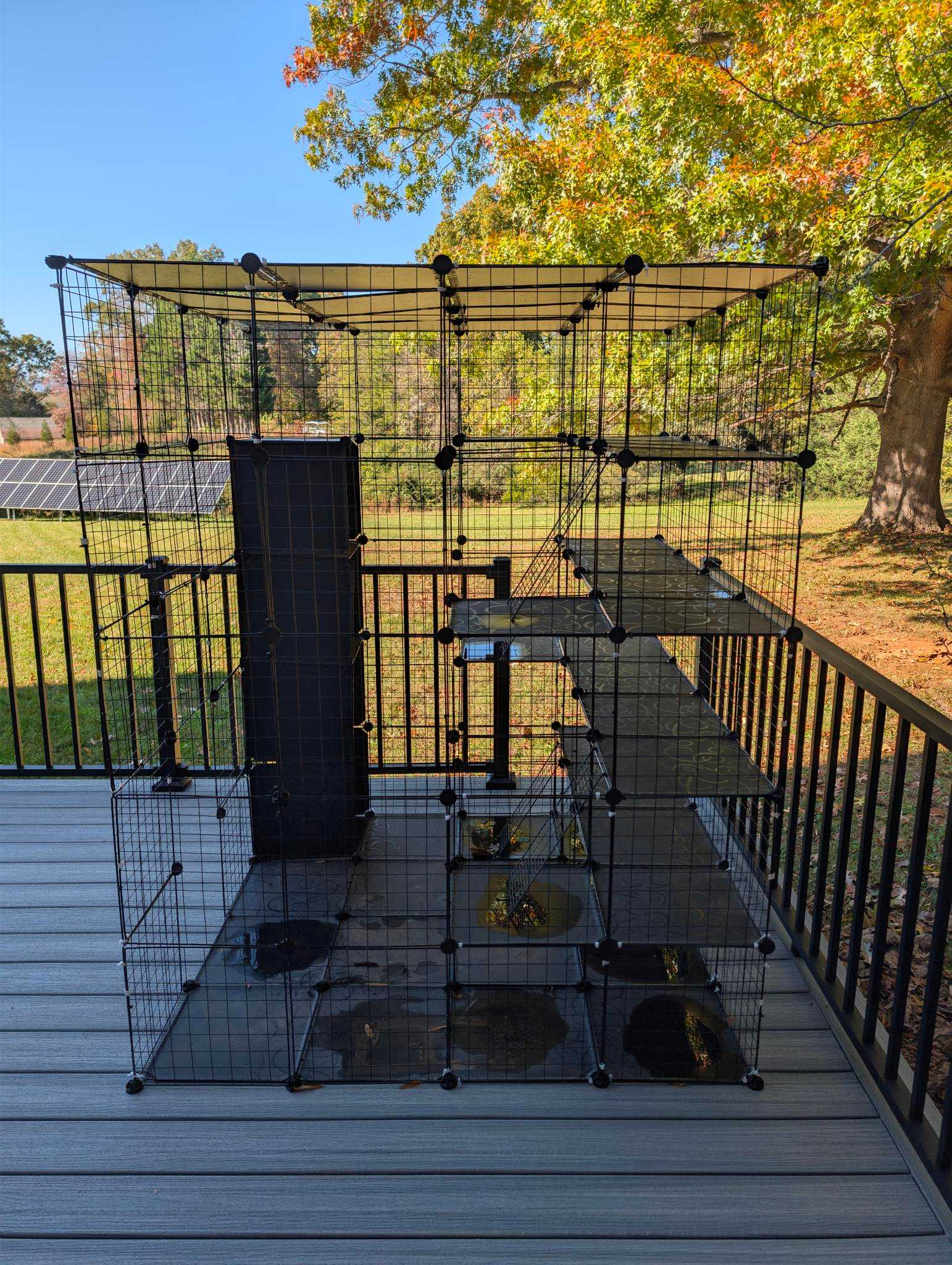 Freecycle: Oudoor Cat Enclosure