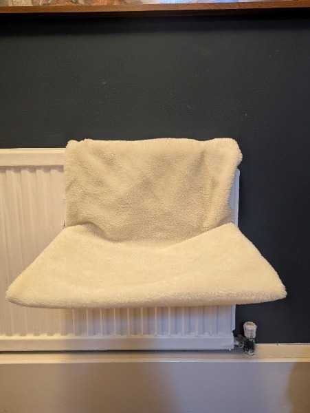 Cat radiator bed