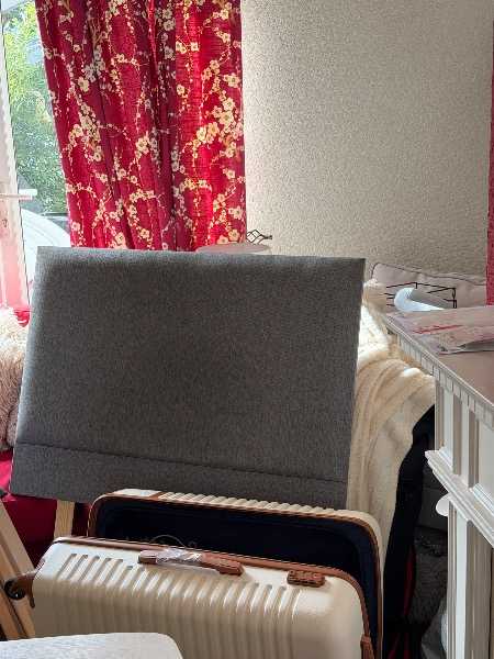 Free electric single bed frame and headboard