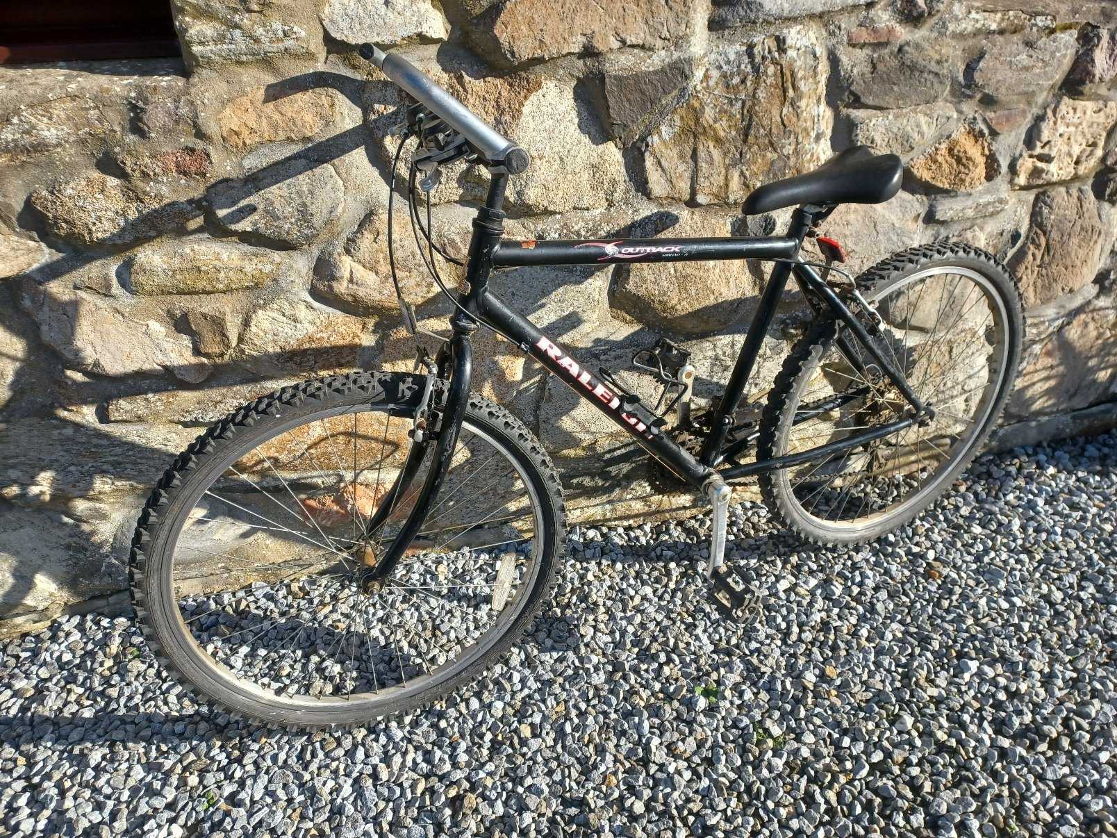 Boy/Girl Raleigh Bicycle