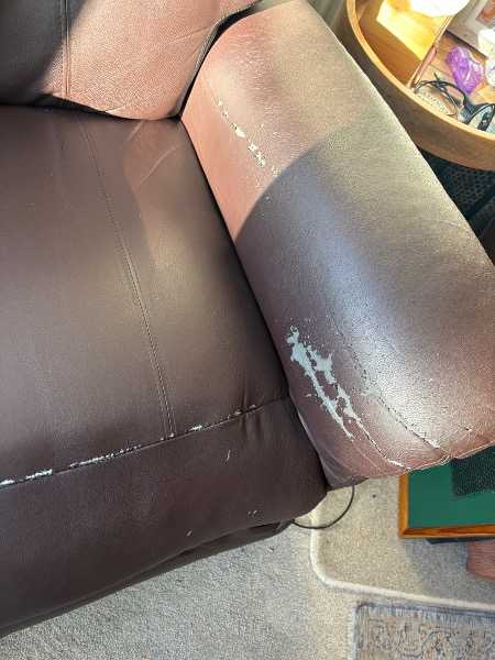 Twin motor riser recliner